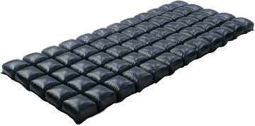 Roho_Prodigy_Overlay